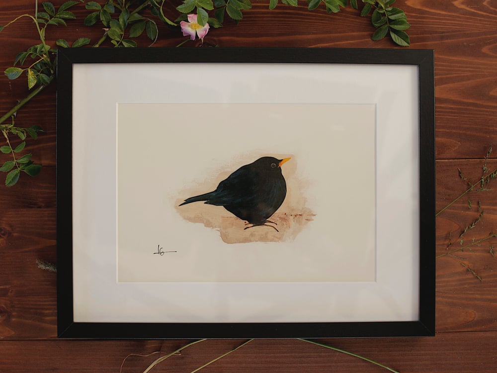 Image of Original Works on Paper Series - Blackbird - A4/Framed