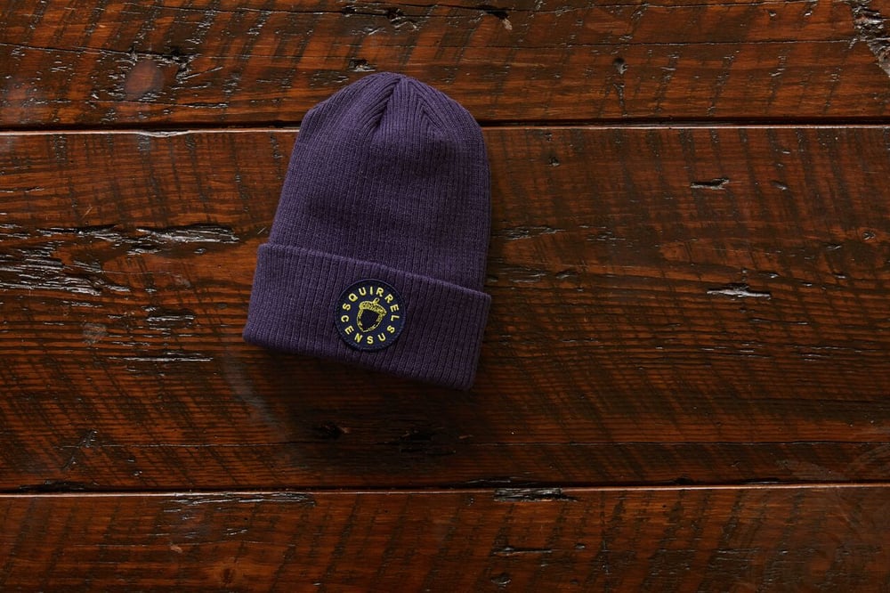 Image of Official Central Park Squirrel Census Beanie