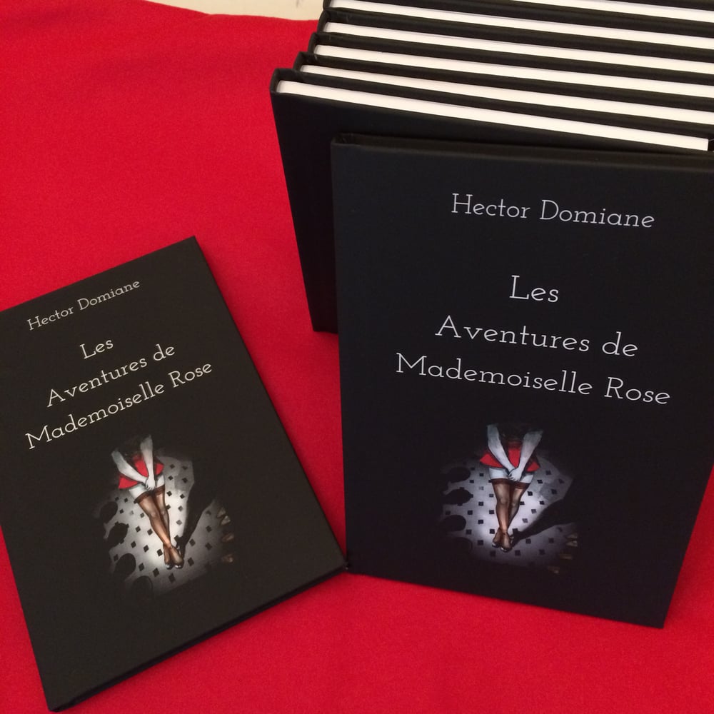 Image of Les aventures de Mademoiselle Rose (French version) , 3e Édition en français 