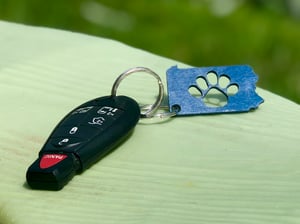 Image of PA Keychain Set