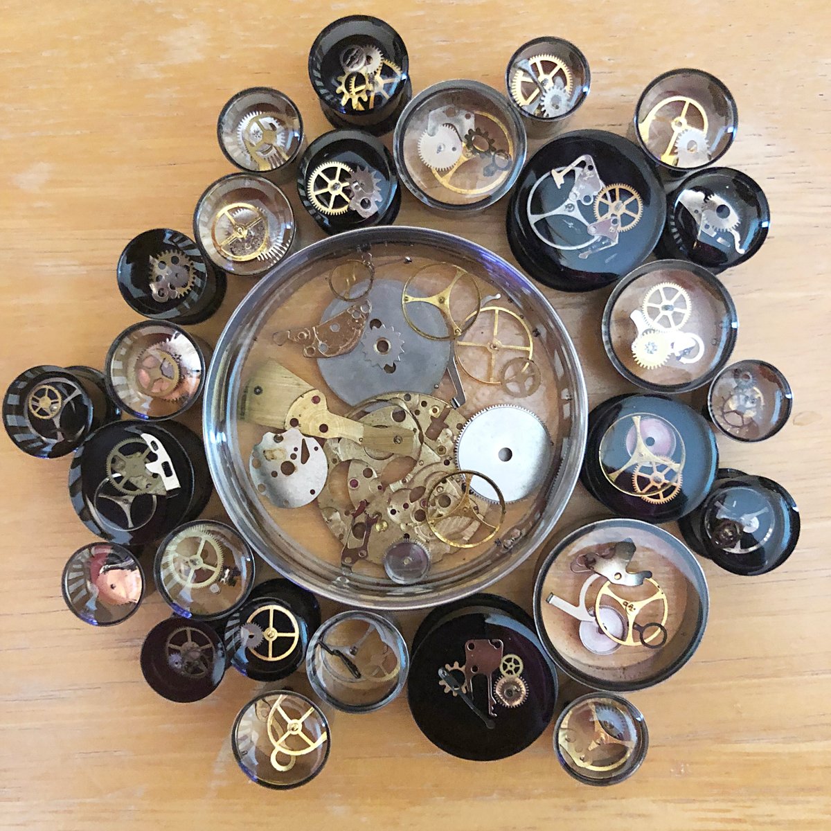 Image of Steampunk Plugs (sizes 00g-2")