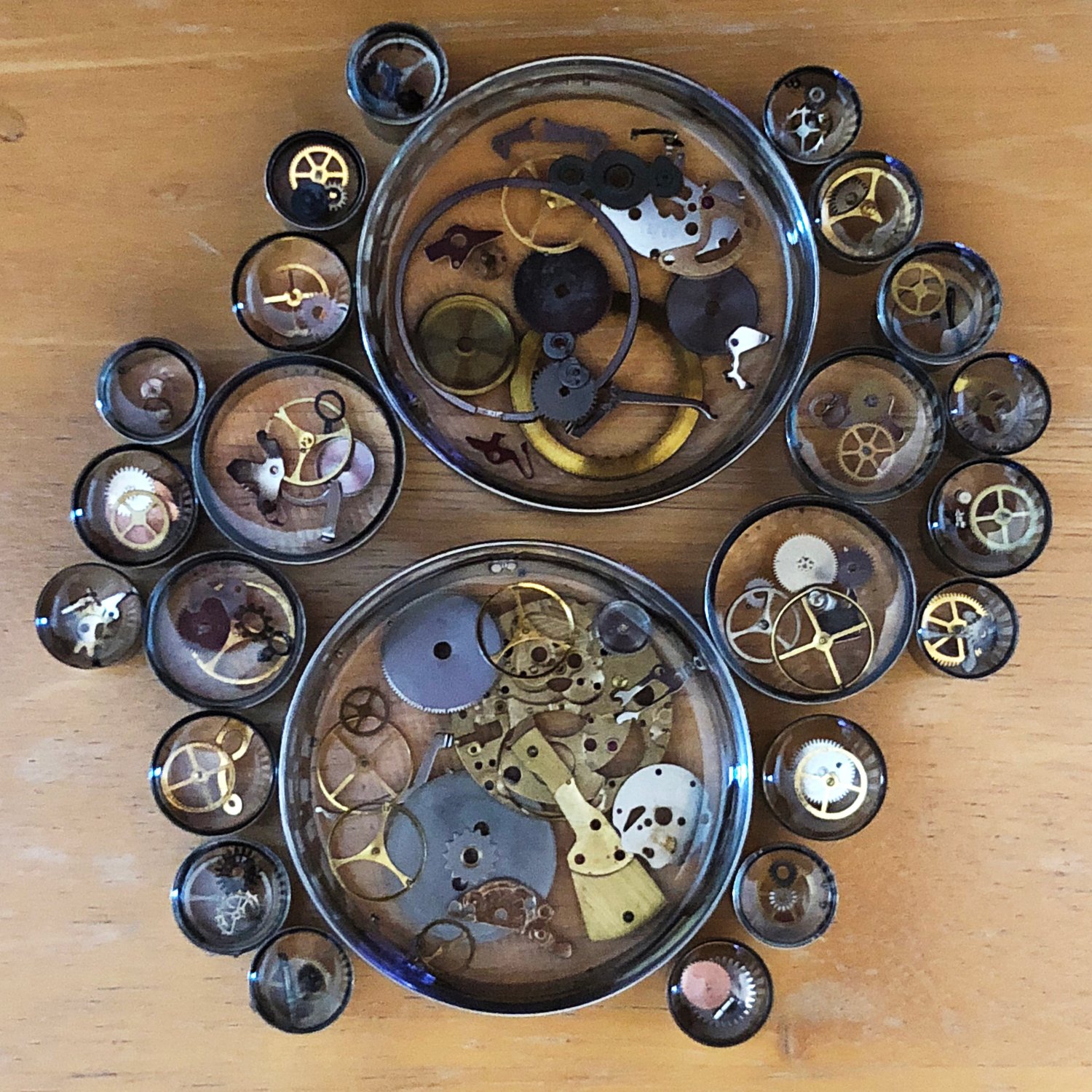 Image of Steampunk Plugs (sizes 00g-2")