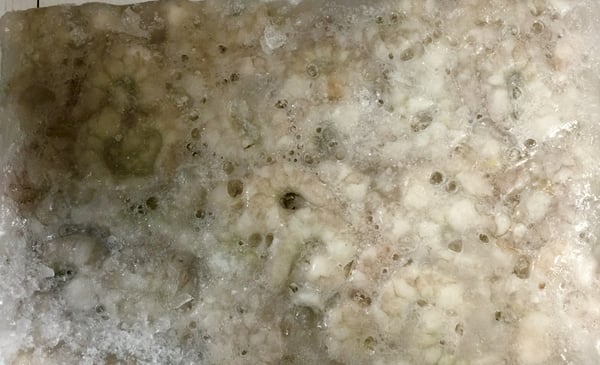 Image of Shrimp Peeled and Deveined 31-35 Bulk Pack