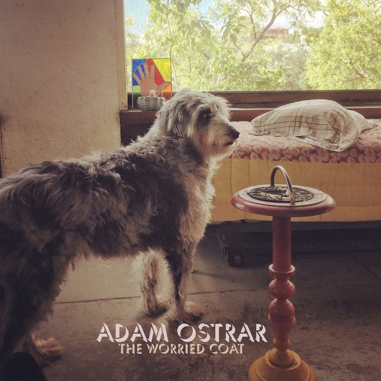 Adam Ostrar Two Album Vinyl Bundle