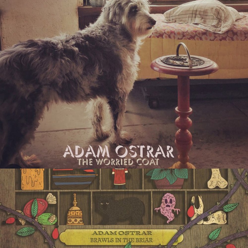 Adam Ostrar Two Album Vinyl Bundle