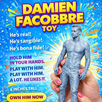 The Damien Facobbre Toy Figure