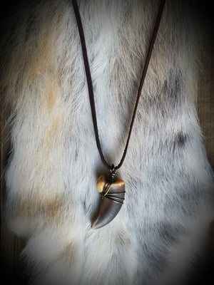 Image of Grizzly Bear Claw Necklace