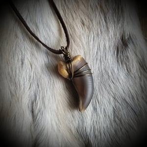 Image of Grizzly Bear Claw Necklace