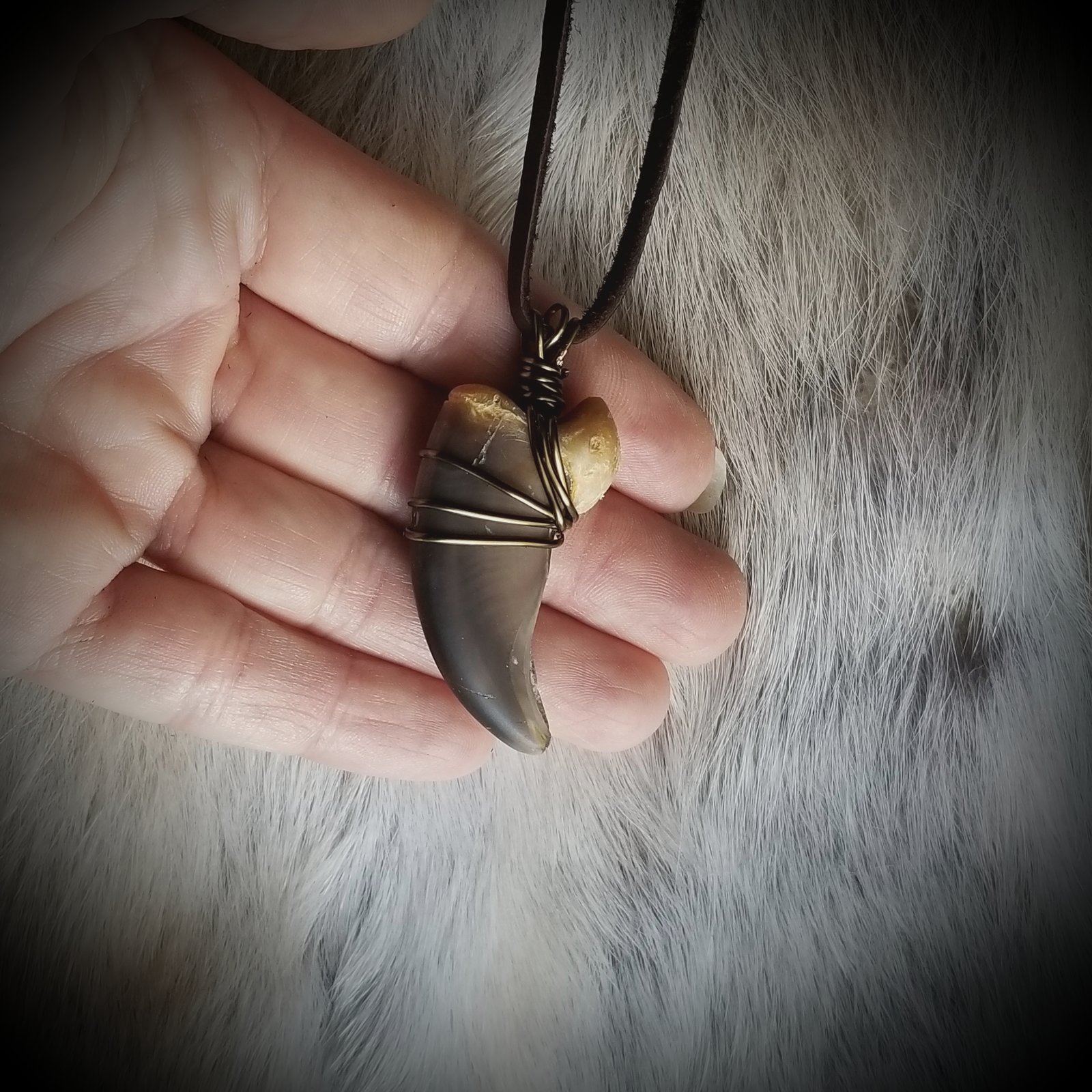 Realistic Iroquois Bear Claw Necklace: 3-claw: Gallery Item