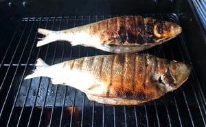 Image of Milkfish 800-1000