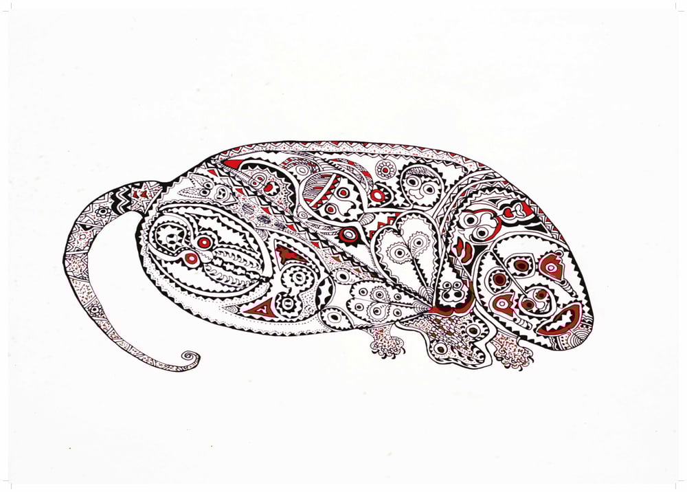 Image of Kmn Suatg drawing - Pencil-signed numbered limited edition poster