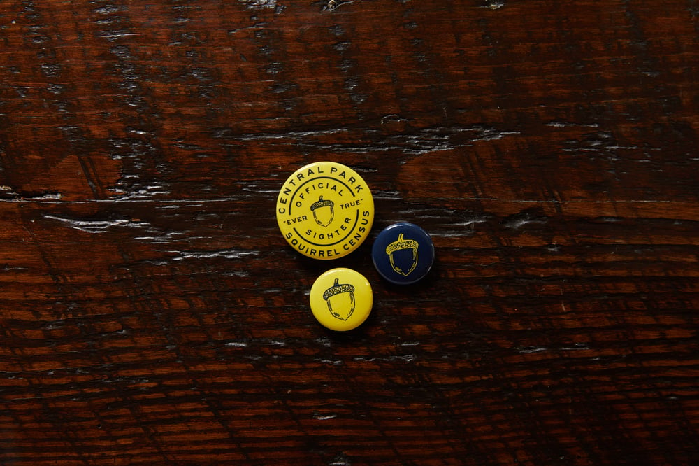 Image of 3-Pack of Official 'The Acorn' Buttons