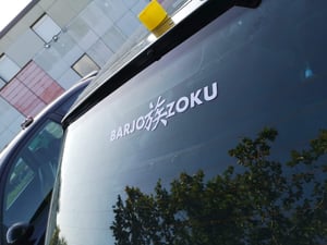 Image of VINYLEZOKU / VINYLEZOKU XL