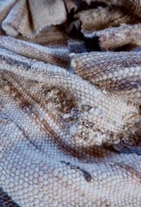 Image 1 of Desert Rose 