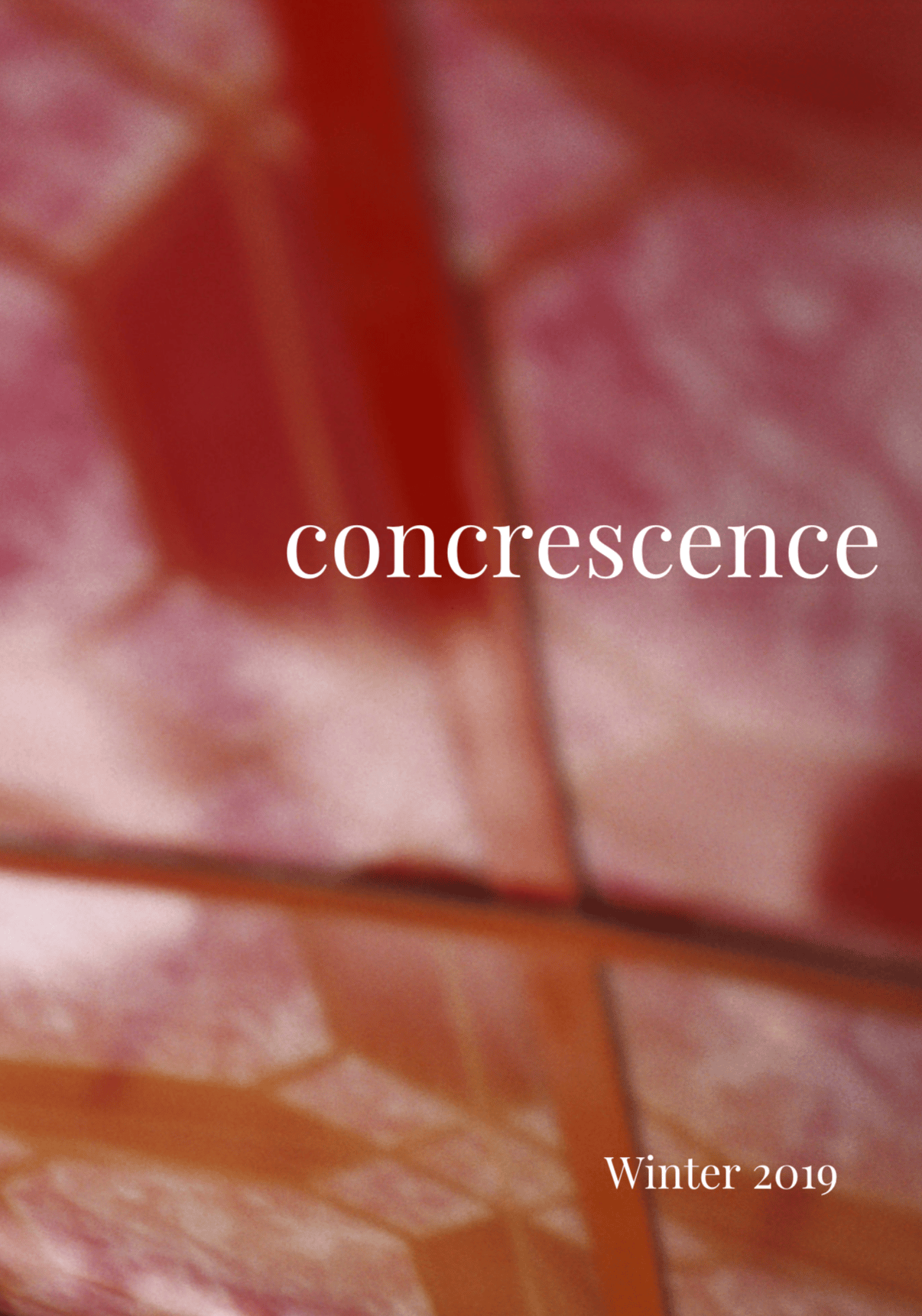 Image of Concrescence Zine - Issue 2