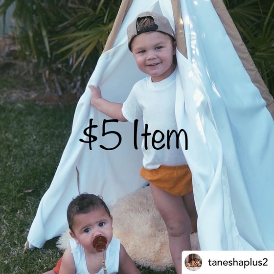 Image of $5 Item