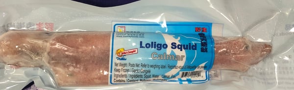 Image of Squid Loligo 40 Cm ( 16 “ ) up 1 pc