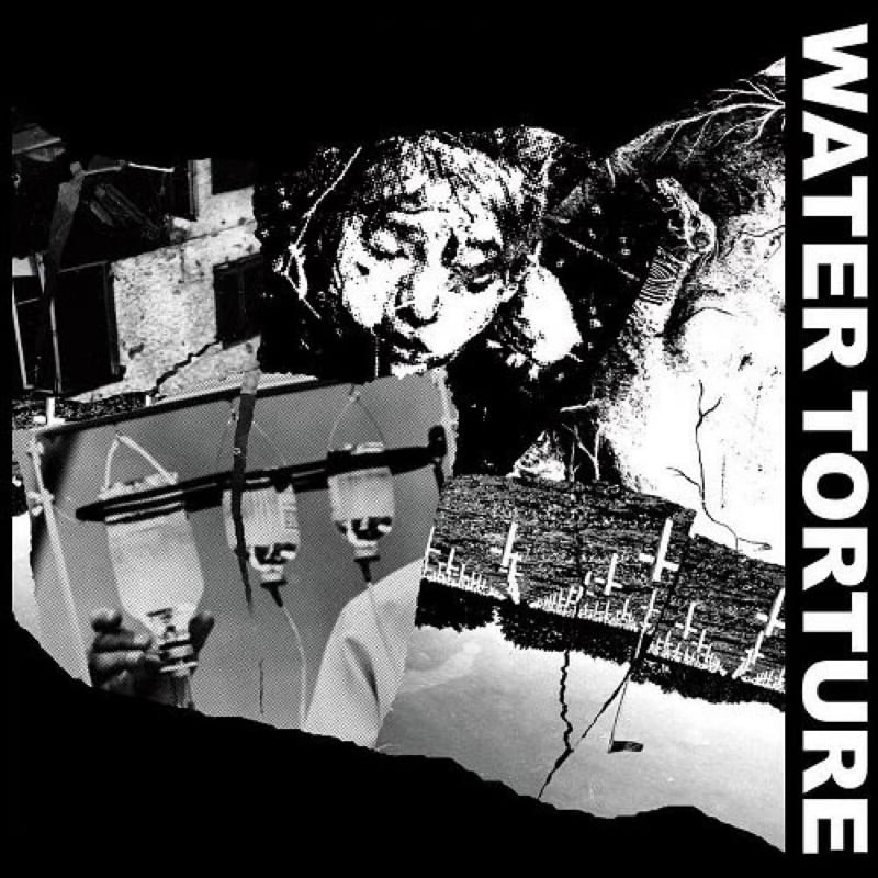 Image of Water Torture - "Discography" LP