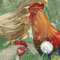 Image 3 of Spring Chickens