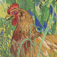 Image 4 of Spring Chickens