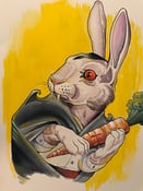 Image of Bunnicula 