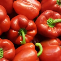 Polly's Big Red Bells