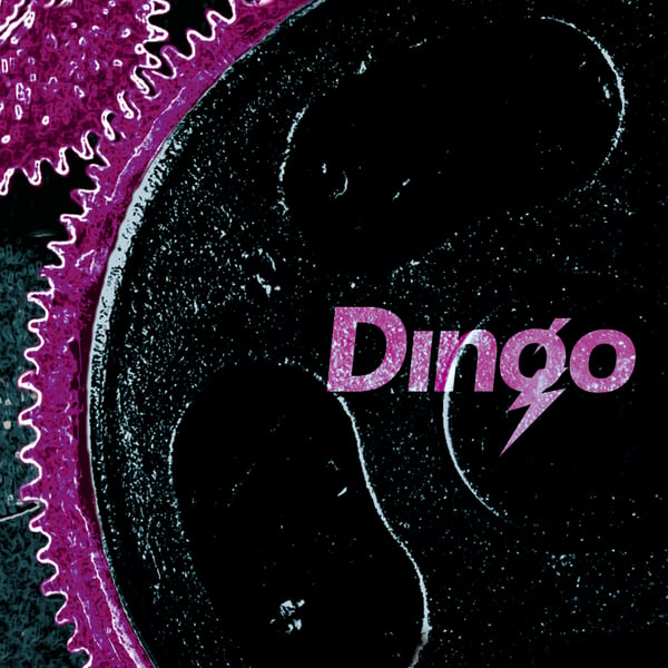 Image of Dingo «s/t » Lp + Cd 