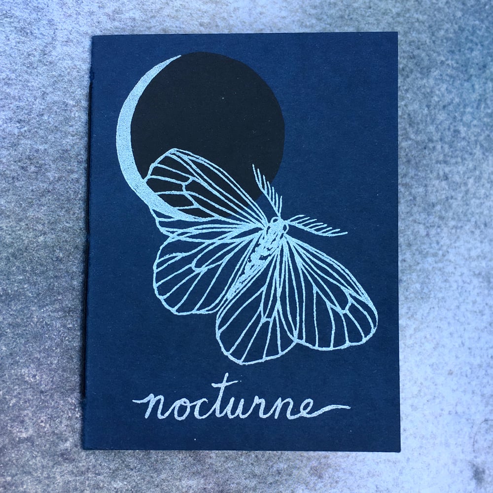 Image of Nocturne~ screenprinted book