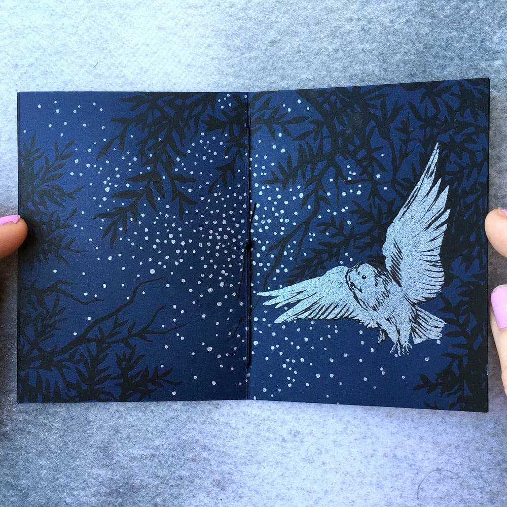 Image of Nocturne~ screenprinted book