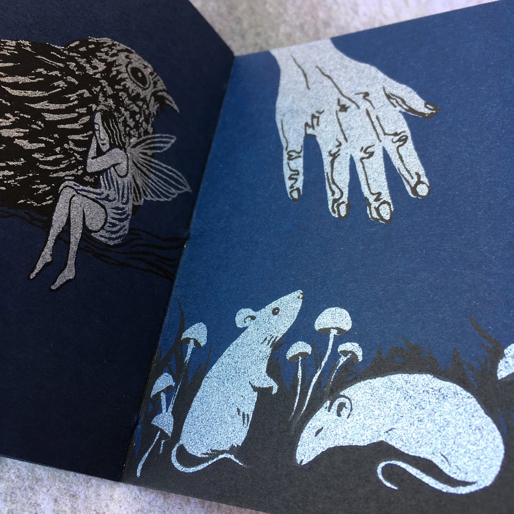 Image of Nocturne~ screenprinted book