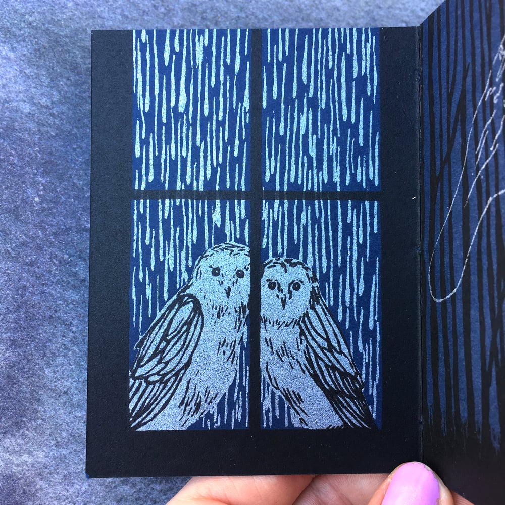 Image of Nocturne~ screenprinted book