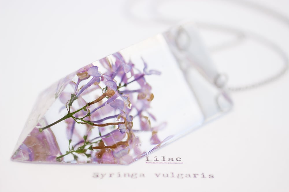 Image of Lilac (Syringa vulgaris) - Statement Piece Necklace #1