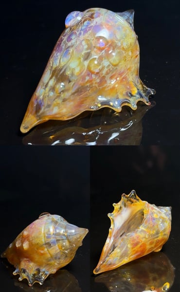 Image of Large Shell 4