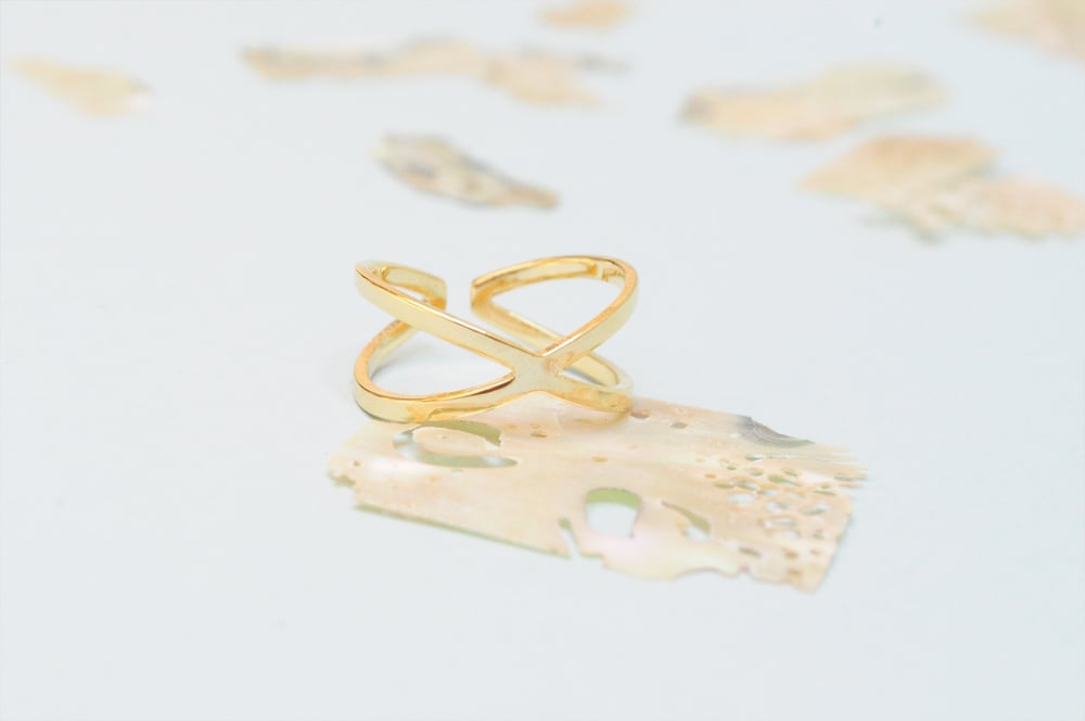 Image of Anillo MP I
