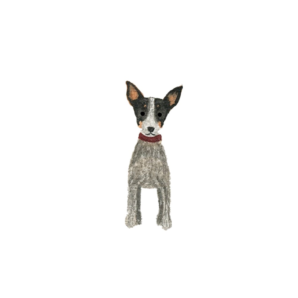 Image of Pet Portrait