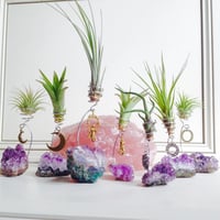 Amethyst Air Planter