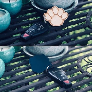 Image of Lion Paw Keychain