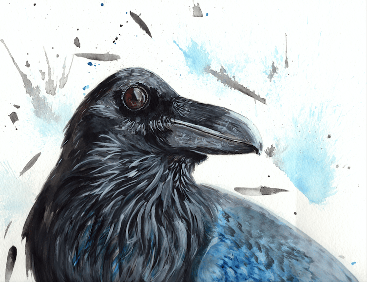 Image of Year of the Raven 