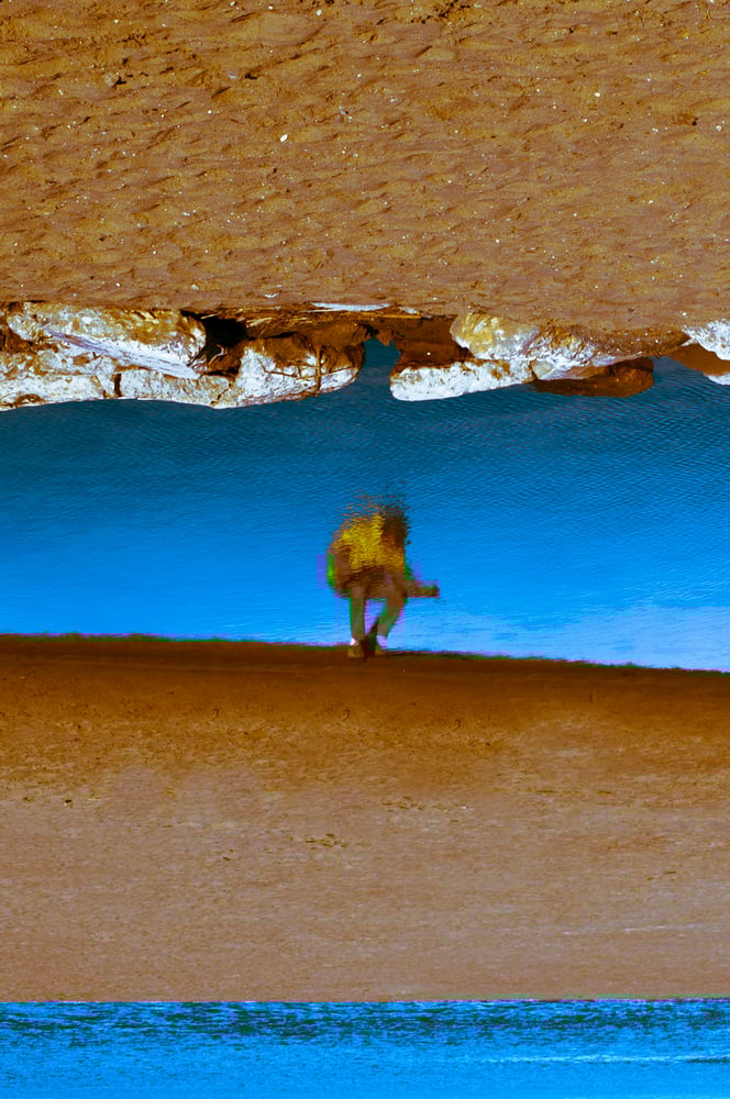 Image of Crissy Field Tidepool