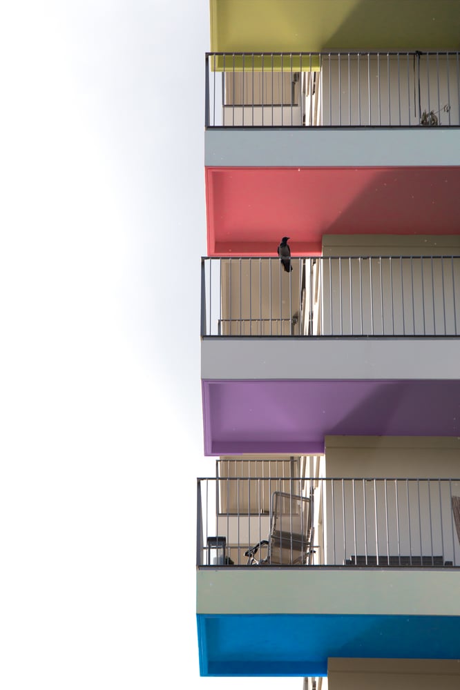 Image of Berlin Complex (4 options)