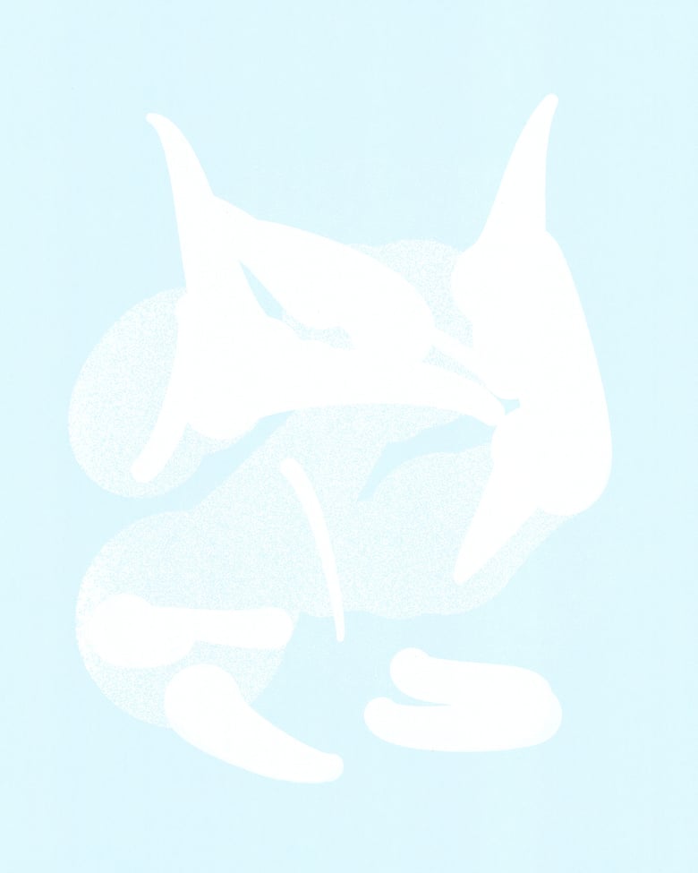 Image of Killer Whale (trail proofs)