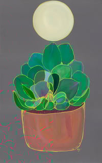 Terracotta Succulent Under a Full Moon
