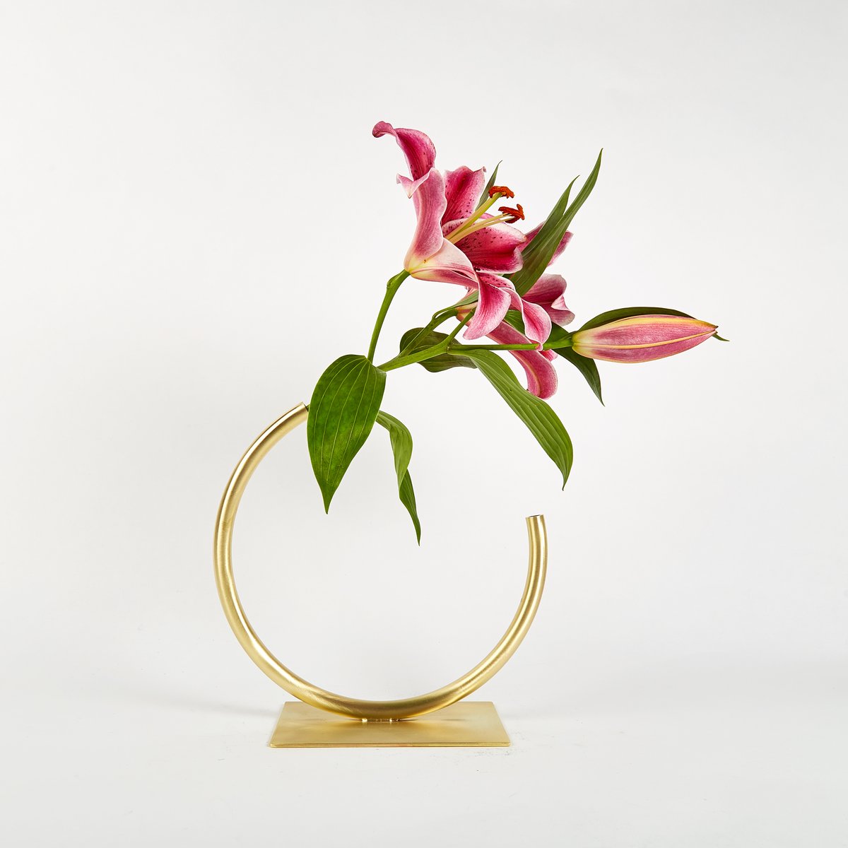 ACV studio — Vase 1045 Edging Over Vase