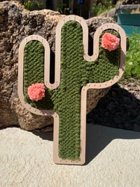 Image 1 of Saguaro