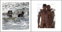 Image 5 of SUMMER BROTHERS 1.0