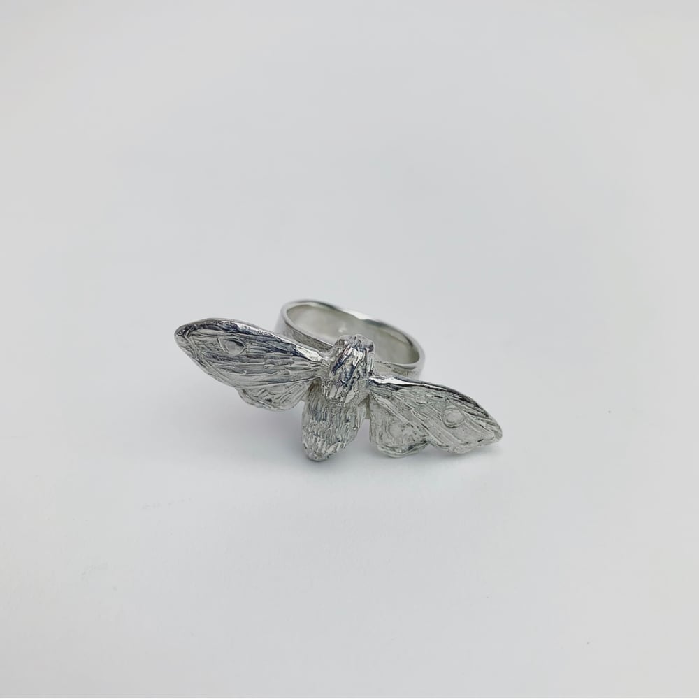 Image of Moth Ring 