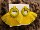 Image of Bohemian Tassel Fringe Earrings