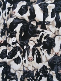 Image 1 of COWS.