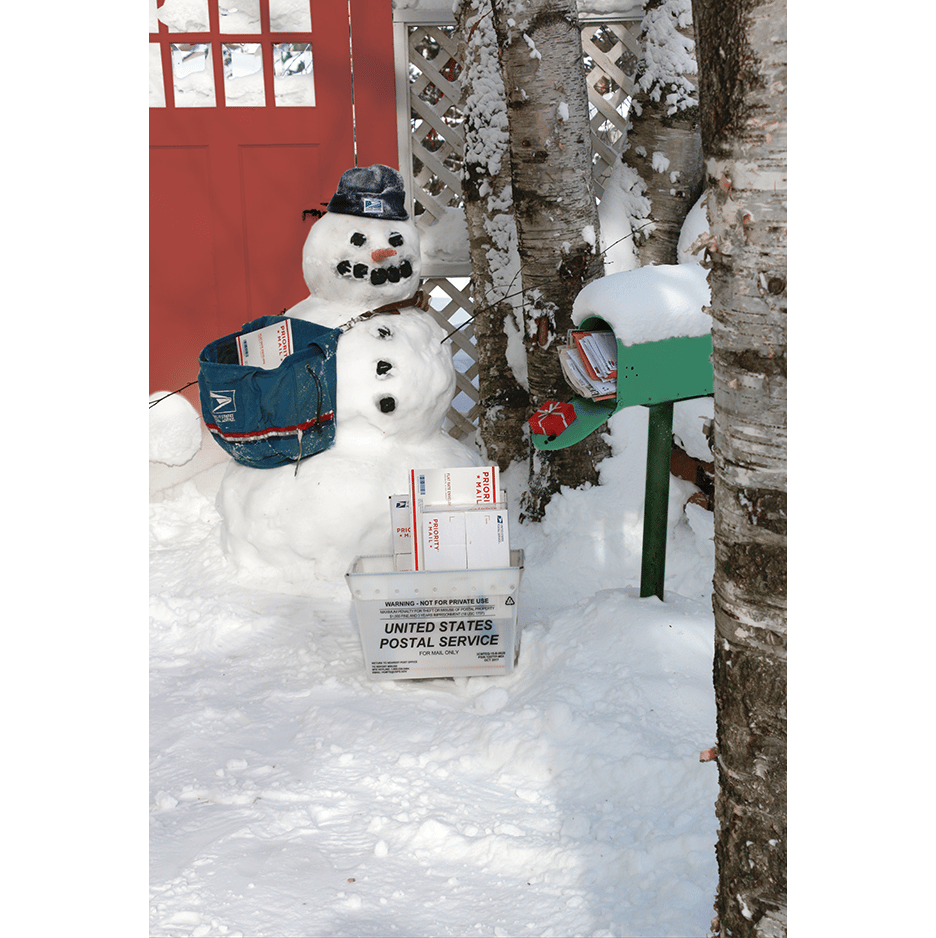 Image of Frosty Carrier Postcard—Pack of 70