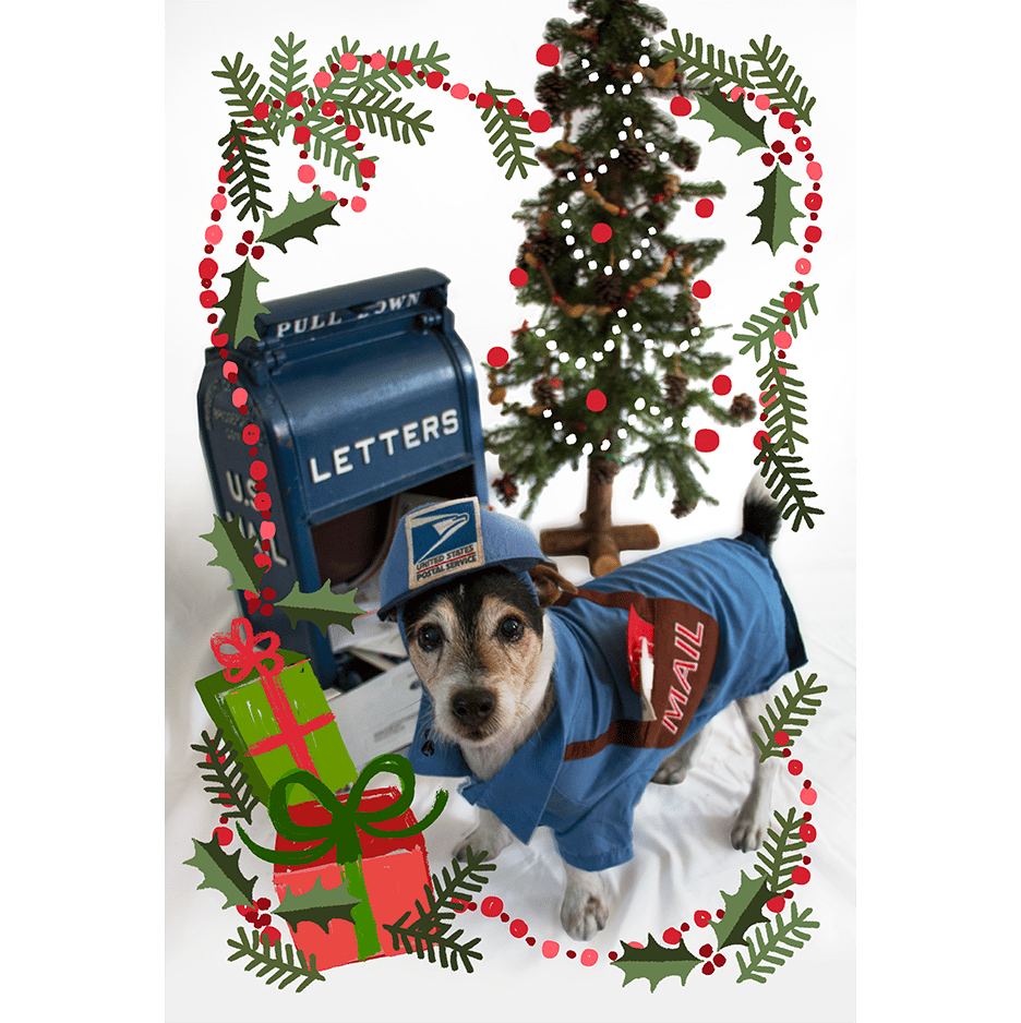 Image of Canine Christmas Postcard—Pack of 70